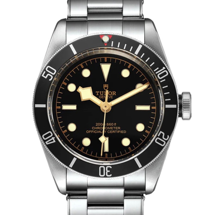 Tudor Heritage Black Bay 79230N-0009 - ART Luxury_Japan